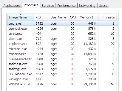 task manager processes
